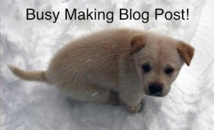 Pooping Blog Post